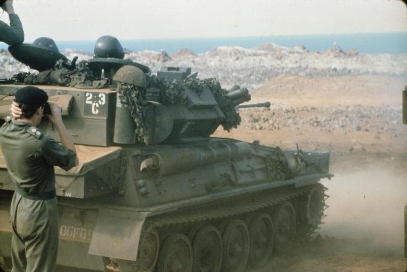 falkland scorpion 1.jpg