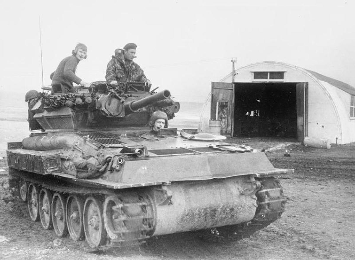 falkland scorpion 2 large.jpg