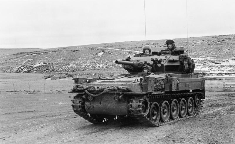 falkland scorpion 3.jpg