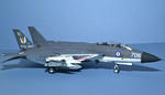 1-48 F-14A Fleet Air Arm