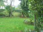 deer in the garden